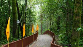 image-44